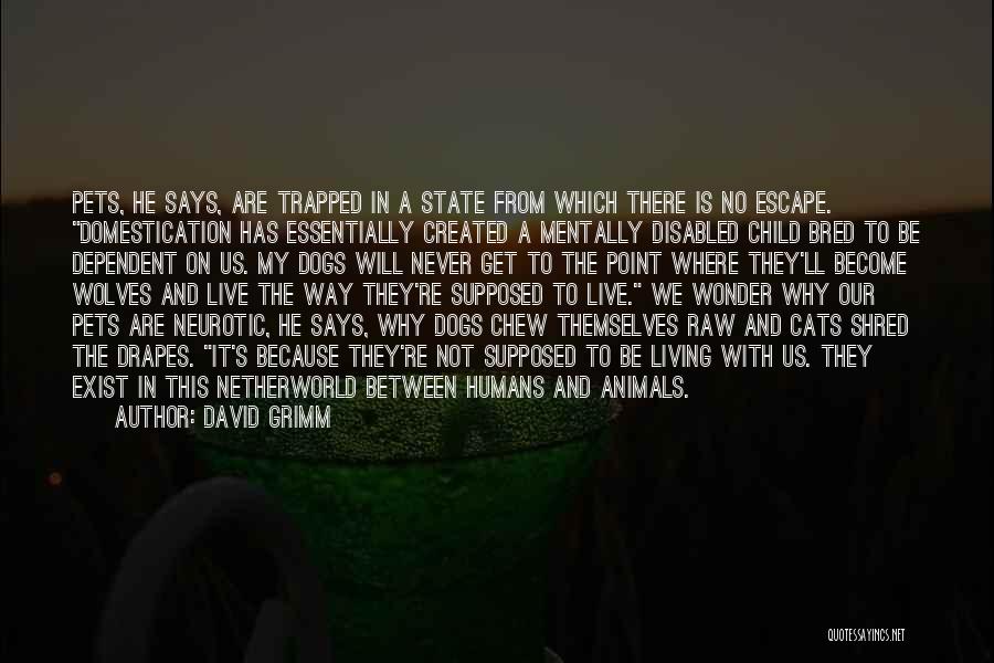 Having A Disabled Child Quotes By David Grimm