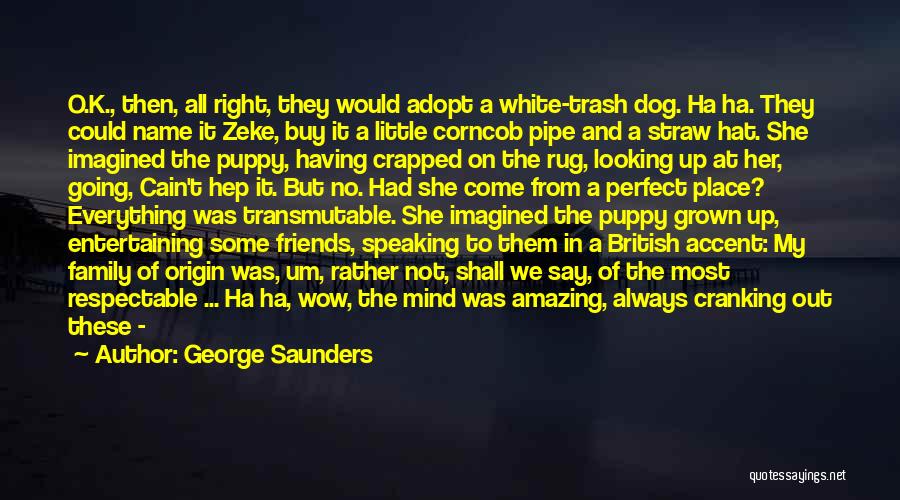 Having A Dog Quotes By George Saunders