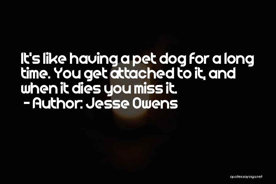 Having A Dog Quotes By Jesse Owens