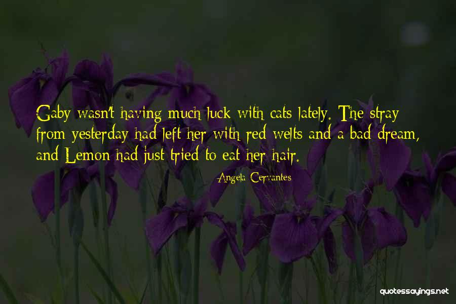 Having A Dream Quotes By Angela Cervantes Having A Dream Quotes By Angela Cervantes