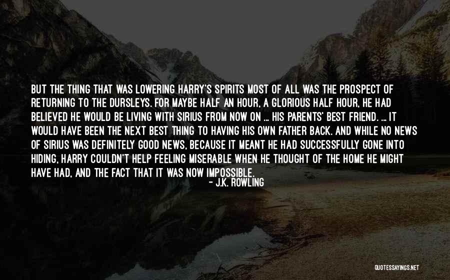 Having A Good Father Quotes By J.K. Rowling