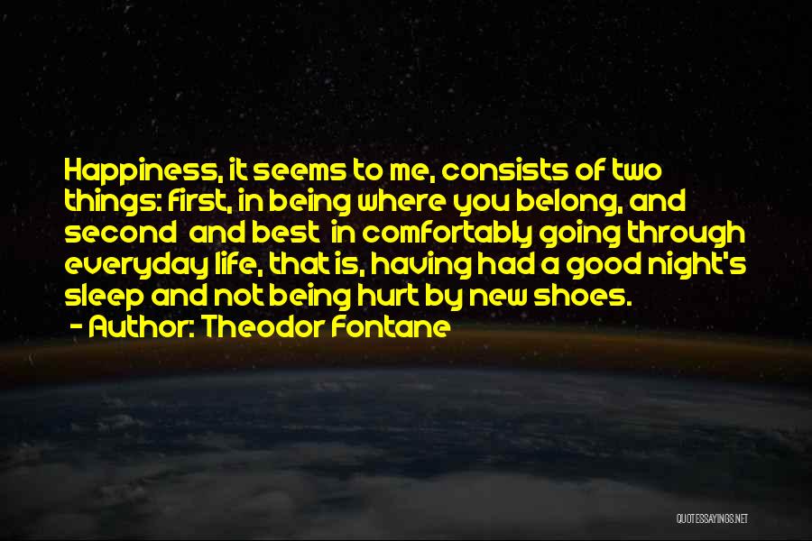 Having A Good Night Quotes By Theodor Fontane