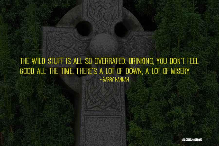 Having A Good Time Drinking Quotes By Barry Hannah Having A Good Time Drinking Quotes By Barry Hannah