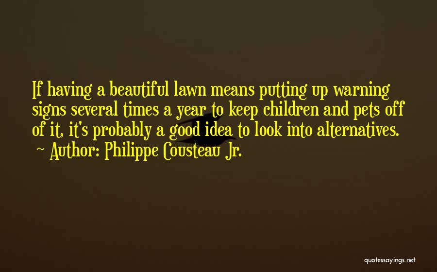 Having A Good Year Quotes By Philippe Cousteau Jr.