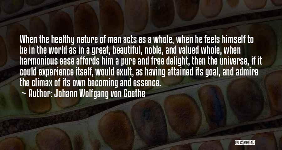Having A Great Man Quotes By Johann Wolfgang Von Goethe