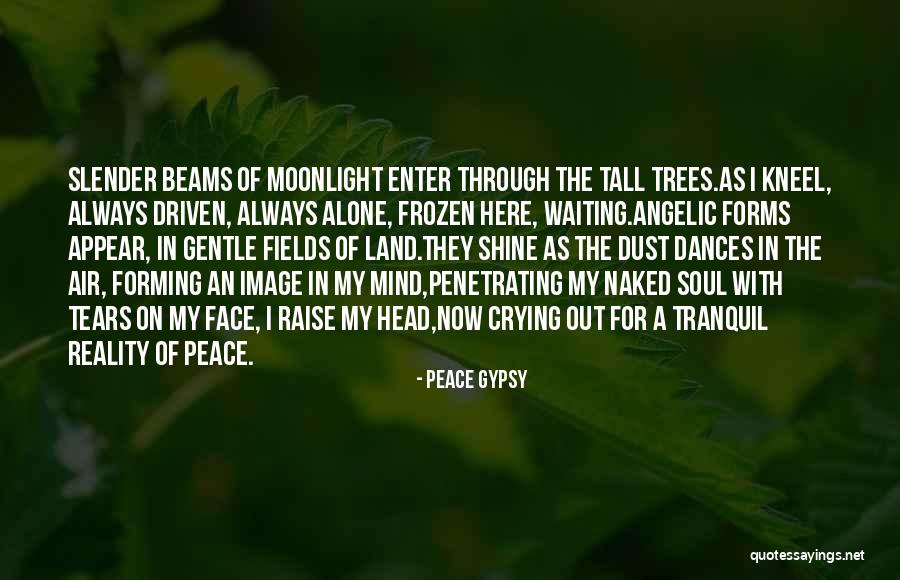 Having A Gypsy Soul Quotes By Peace Gypsy Having A Gypsy Soul Quotes By Peace Gypsy