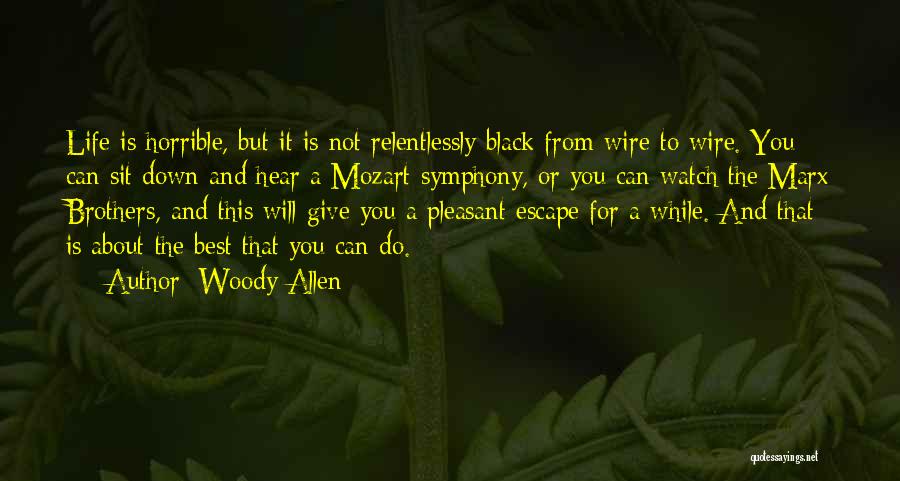 Having A Horrible Life Quotes By Woody Allen