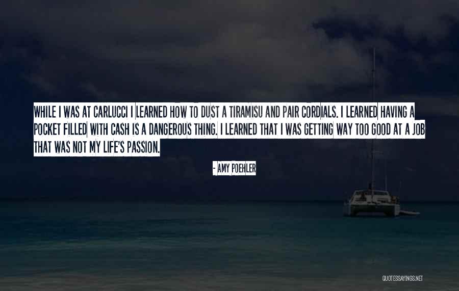 Having A Job Quotes By Amy Poehler Having A Job Quotes By Amy Poehler