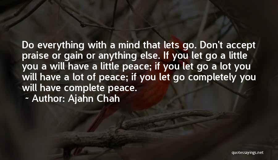 Having A Lot On Your Mind Quotes By Ajahn Chah