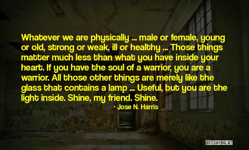 Having A Male Best Friend Quotes By Jose N. Harris