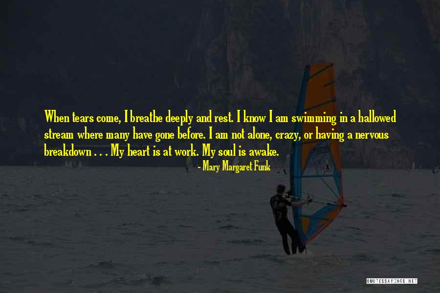 Having A Nervous Breakdown Quotes By Mary Margaret Funk Having A Nervous Breakdown Quotes By Mary Margaret Funk
