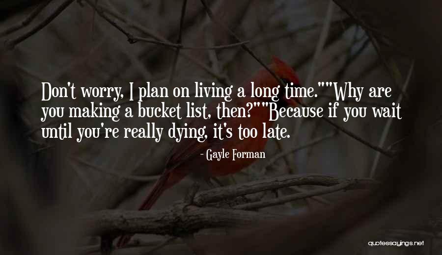 Having A Plan B Quotes By Gayle Forman