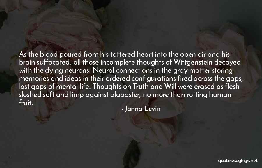 Having A Soft Heart Quotes By Janna Levin