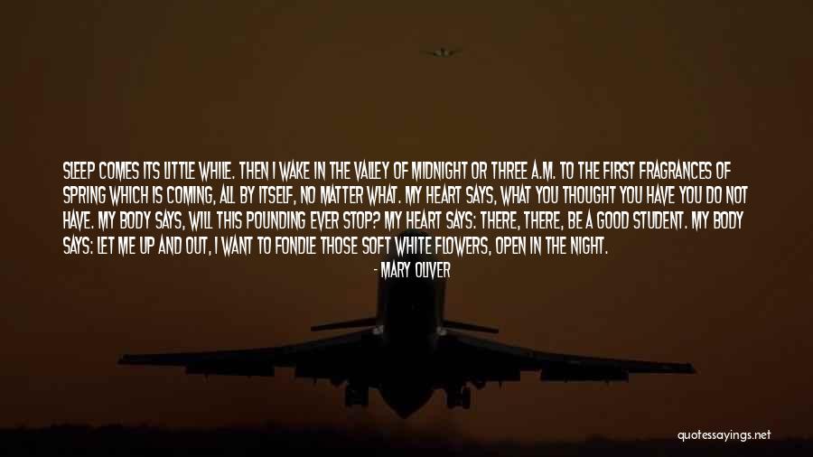 Having A Soft Heart Quotes By Mary Oliver Having A Soft Heart Quotes By Mary Oliver