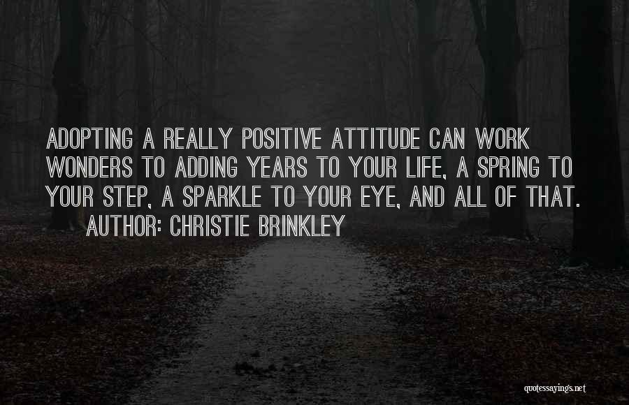 Having A Sparkle In Your Eye Quotes By Christie Brinkley
