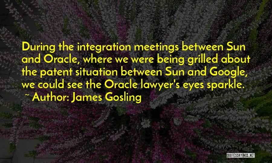 Having A Sparkle In Your Eye Quotes By James Gosling