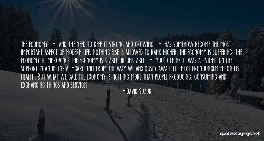 Having A Stable Life Quotes By David Suzuki