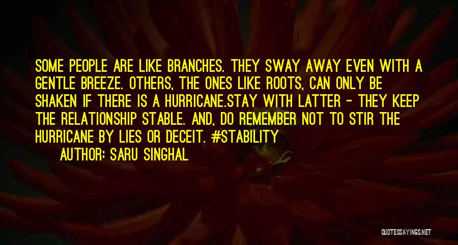 Having A Stable Life Quotes By Saru Singhal