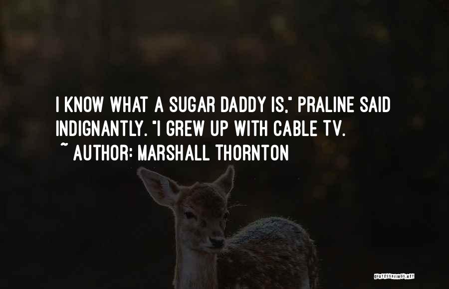 Having A Sugar Daddy Quotes By Marshall Thornton