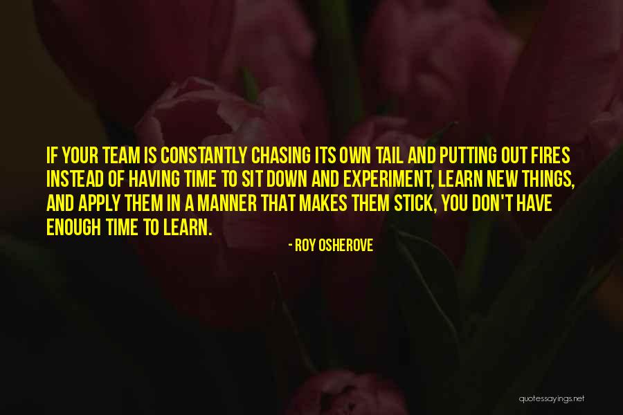 Having A Team Quotes By Roy Osherove Having A Team Quotes By Roy Osherove