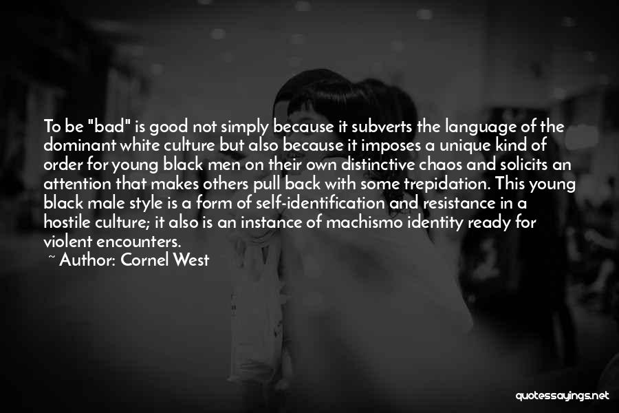 Having A Unique Style Quotes By Cornel West