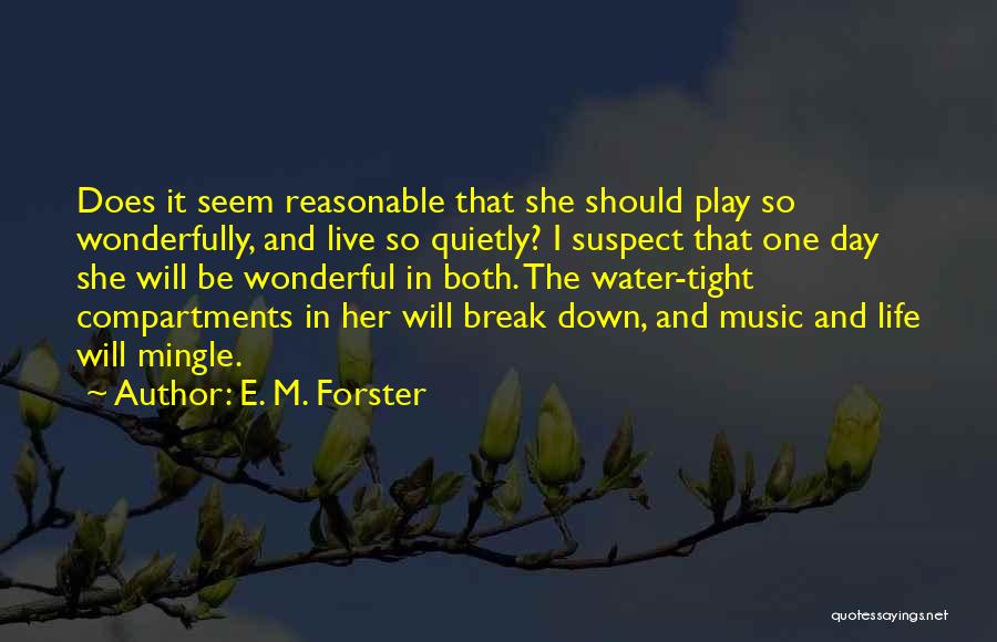 Having A Wonderful Day Quotes By E. M. Forster