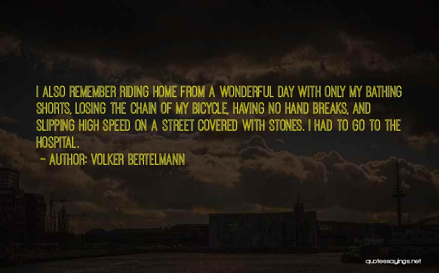 Having A Wonderful Day Quotes By Volker Bertelmann