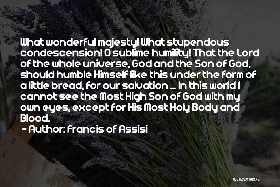 Having A Wonderful Son Quotes By Francis Of Assisi