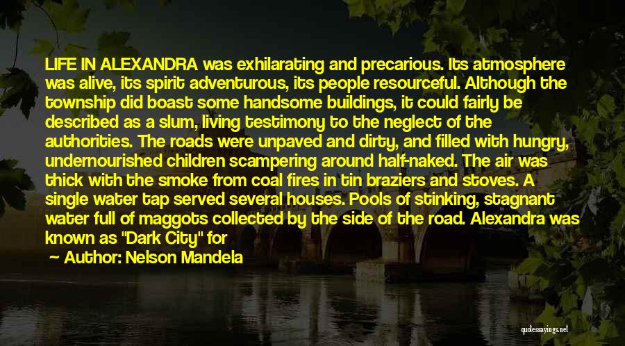 Having An Adventurous Life Quotes By Nelson Mandela