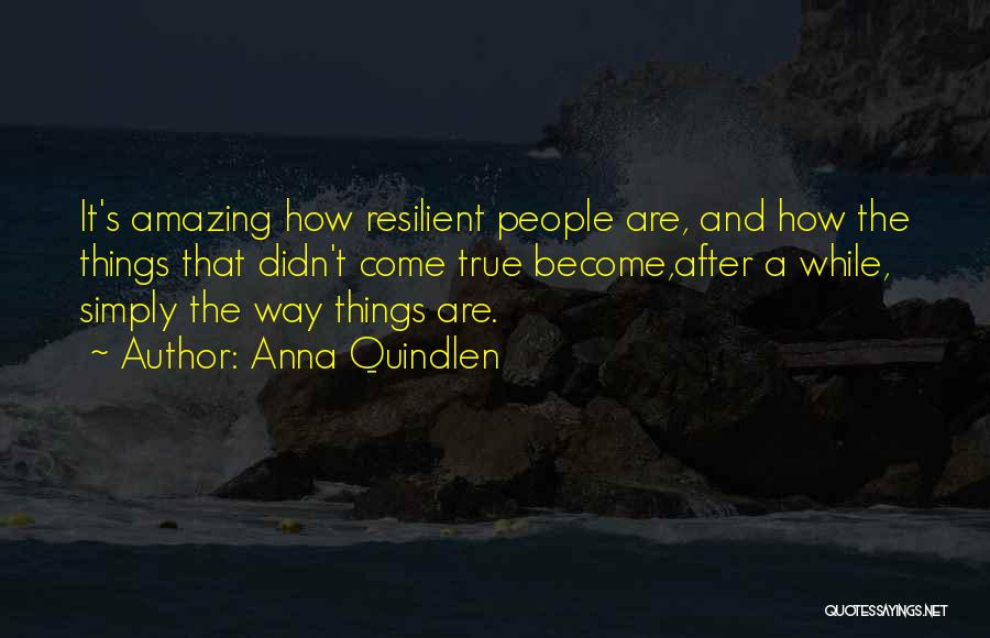 Having An Amazing Life Quotes By Anna Quindlen