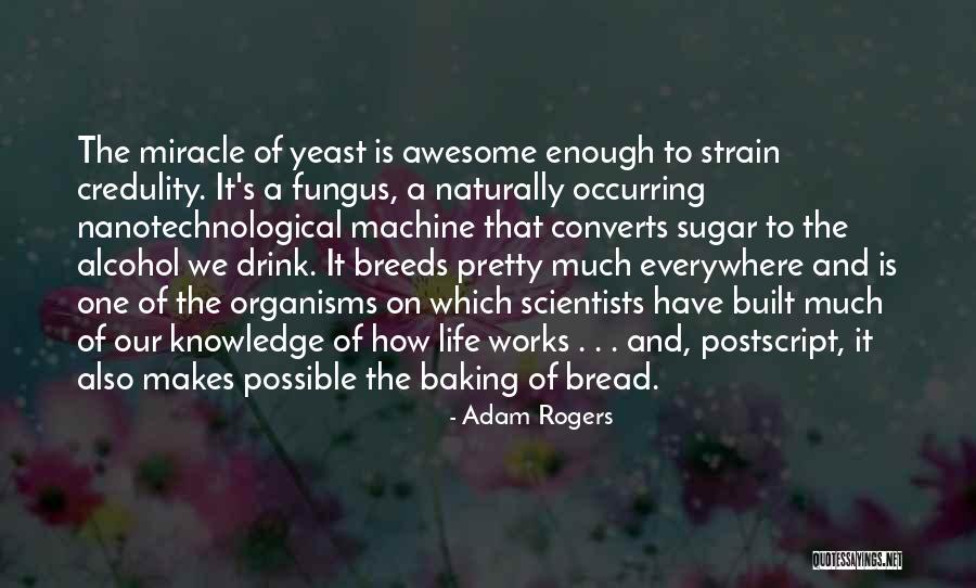 Having An Awesome Life Quotes By Adam Rogers Having An Awesome Life Quotes By Adam Rogers