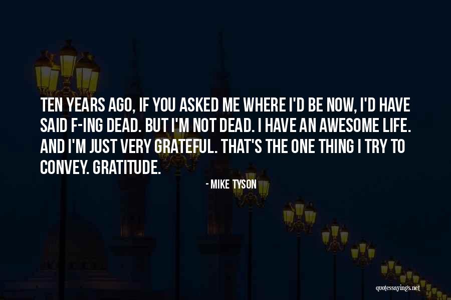 Having An Awesome Life Quotes By Mike Tyson Having An Awesome Life Quotes By Mike Tyson