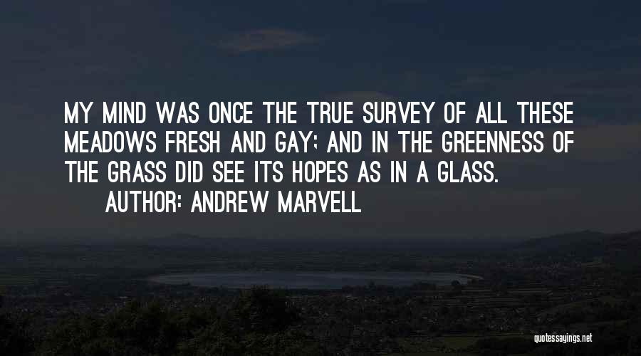 Having An Glasses Quotes By Andrew Marvell