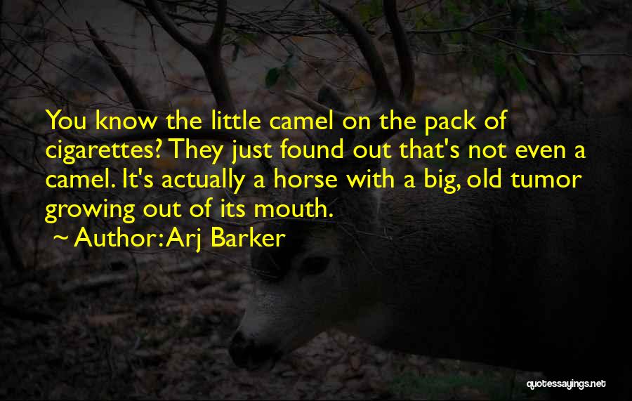 Having Big Mouth Quotes By Arj Barker