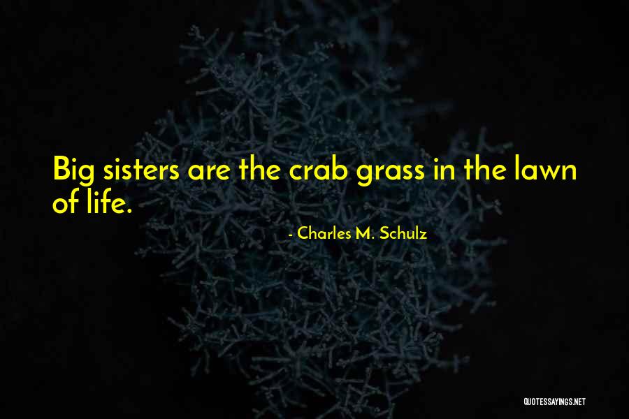 Having Big Sisters Quotes By Charles M. Schulz Having Big Sisters Quotes By Charles M. Schulz