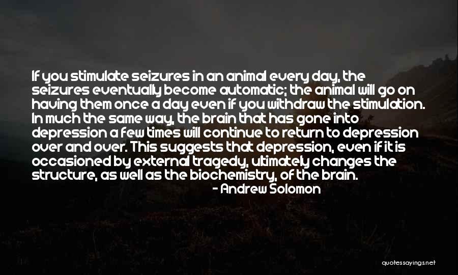 Having Brain Quotes By Andrew Solomon Having Brain Quotes By Andrew Solomon