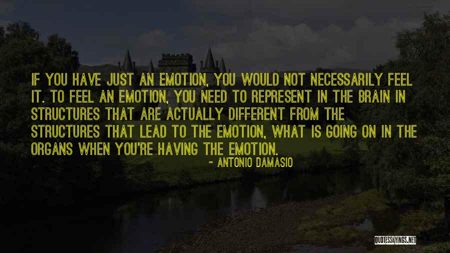 Having Brain Quotes By Antonio Damasio Having Brain Quotes By Antonio Damasio