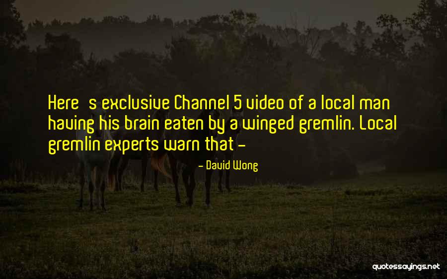 Having Brain Quotes By David Wong Having Brain Quotes By David Wong