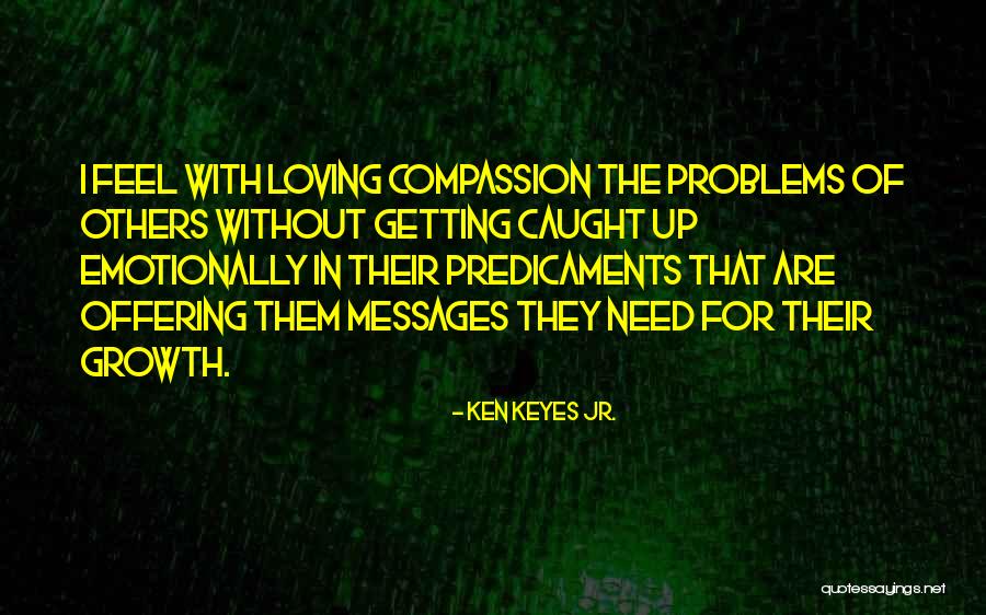 Having Compassion For Others Quotes By Ken Keyes Jr.