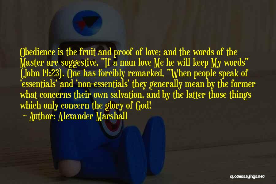 Having Concerns Quotes By Alexander Marshall