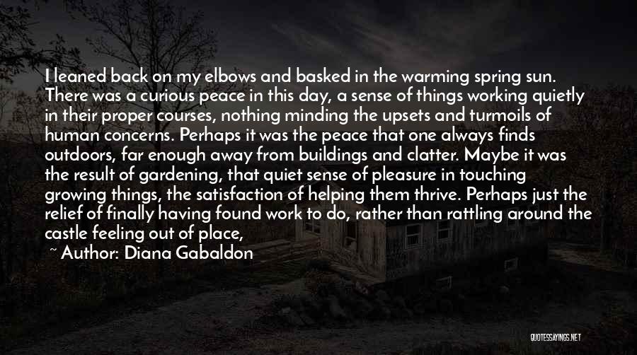 Having Concerns Quotes By Diana Gabaldon