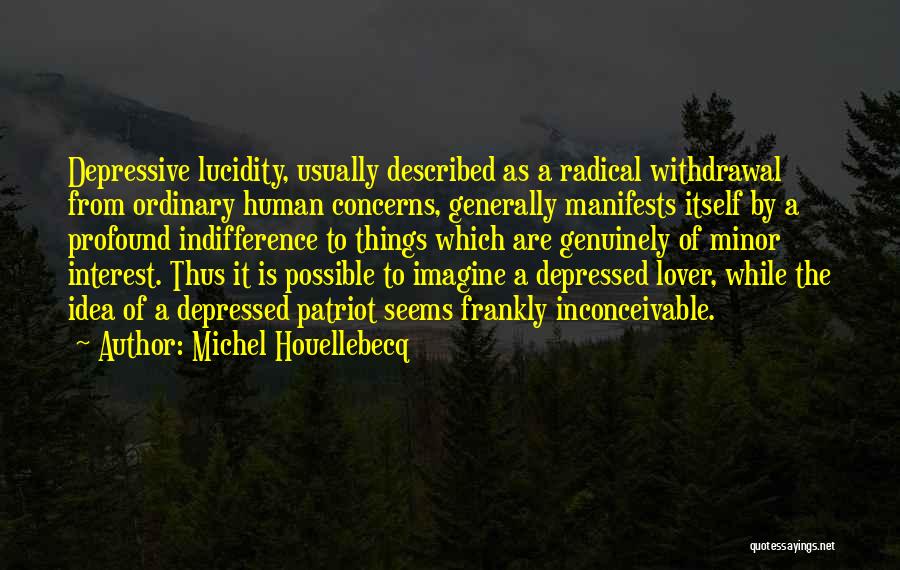 Having Concerns Quotes By Michel Houellebecq