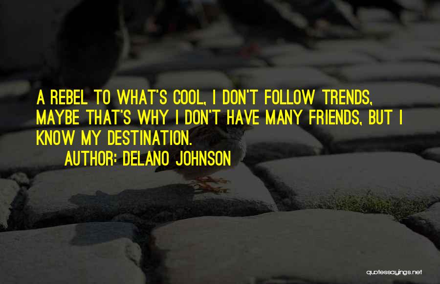 Having Cool Friends Quotes By Delano Johnson