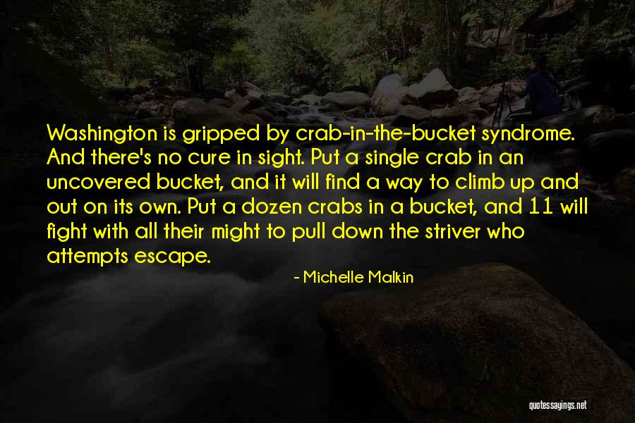 Having Crabs Quotes By Michelle Malkin