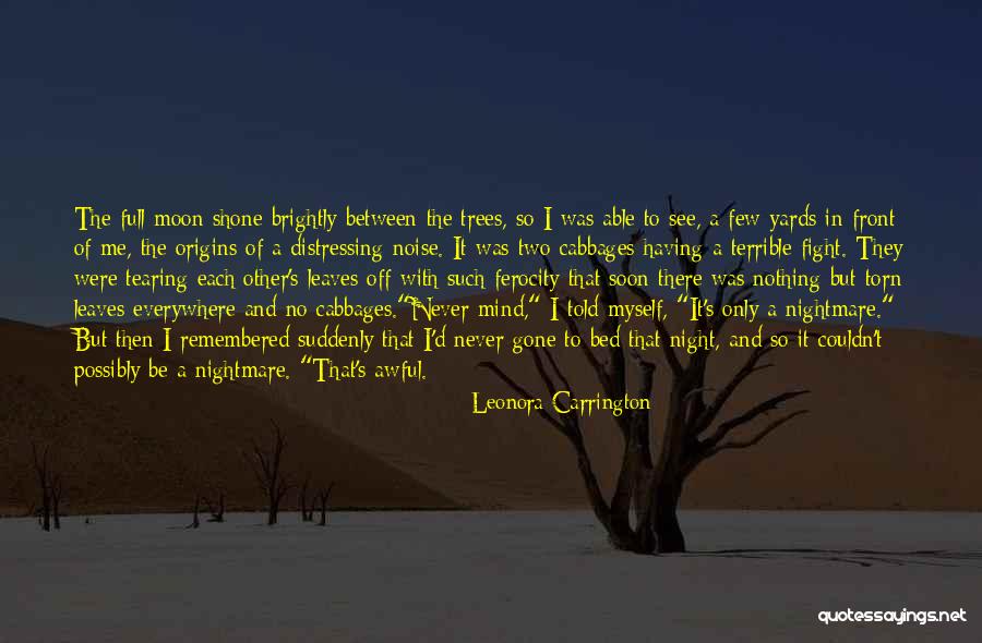 Having Dreams In Life Quotes By Leonora Carrington Having Dreams In Life Quotes By Leonora Carrington