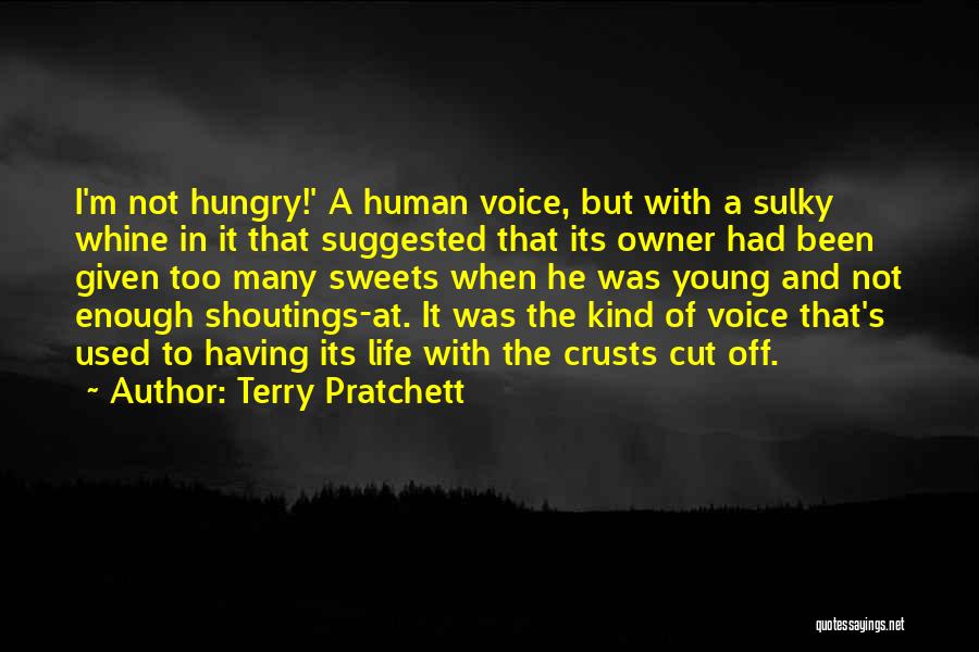Having Enough In Life Quotes By Terry Pratchett