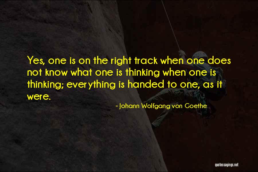 Having Everything Handed To You Quotes By Johann Wolfgang Von Goethe