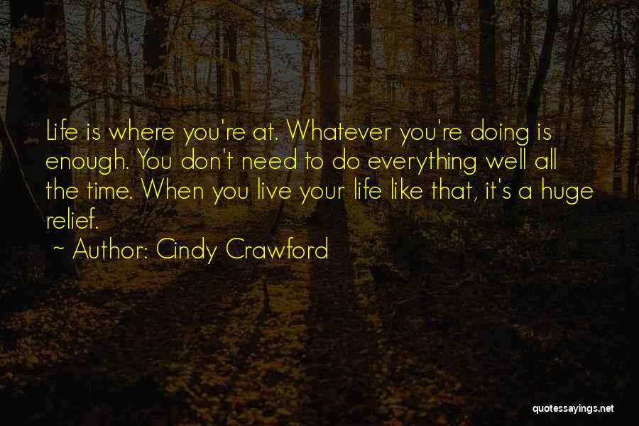 Having Everything You Need In Life Quotes By Cindy Crawford