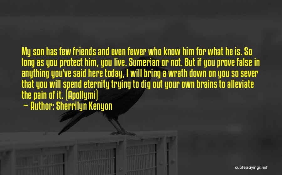 Having Fewer Friends Quotes By Sherrilyn Kenyon
