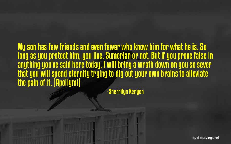 Having Fewer Friends Quotes By Sherrilyn Kenyon Having Fewer Friends Quotes By Sherrilyn Kenyon
